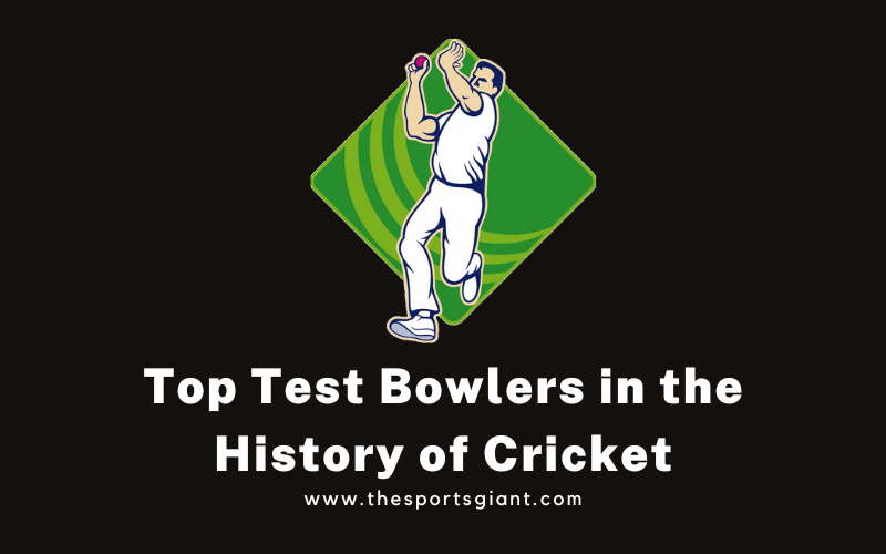 Top Test Bowlers in the History of Cricket